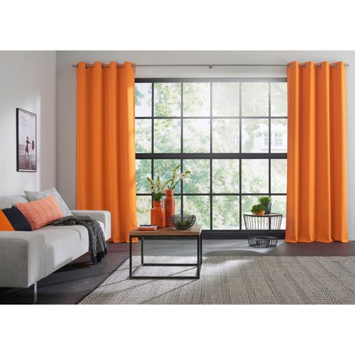 4004567143145 - Vorhang WIRTH Dim out Gardinen Gr 245 cm Ösen 145 cm orange Ösen