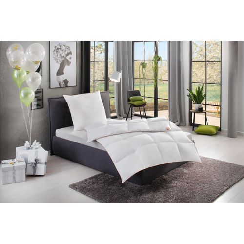 4015049452921 - Daunenbettdecke + Kopfkissen RIBECO Ella Bettwaren-Sets Gr B L 135 cm x 200 cm 1 B L 80 cm x 80 cm (1) weiß Sommerbettdecke zum Top-Preis