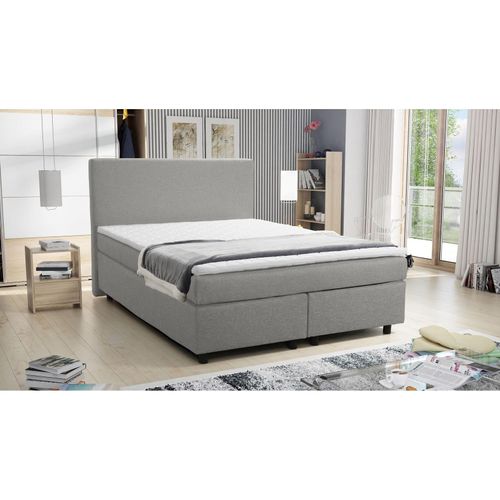 4260304593813 - Küchen Preisbombe - Boxspringbett Hotelbett 140x200 Bonellfederkern Bett mit Topper Paxos 1 hellgrau 4260304593813 - Küchen Preisbombe - Boxspringbett Hotelbett 140x200 Bonellfederkern Bett mit Topper Paxos 1 hellgrau