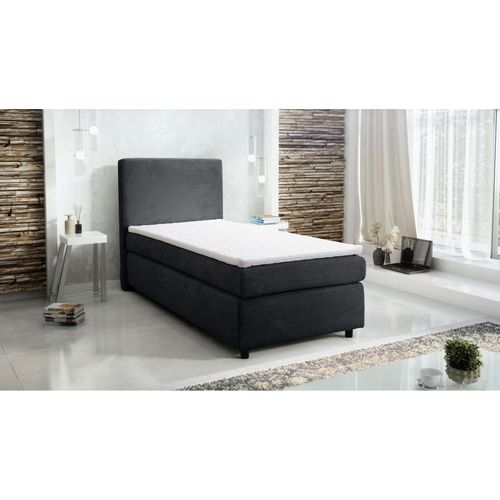 4262354974413 - Boxspringbett Hotelbett 90x200 Bonellfederkern Bett Topper Paxos Cordstoff Grau