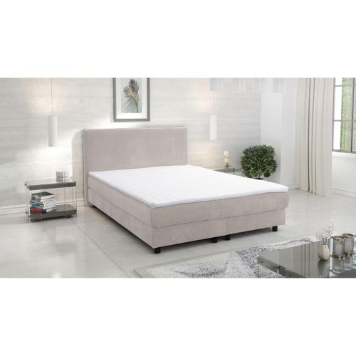 4262354974420 - Küchen Preisbombe - Boxspringbett Boxbett Glenn 1 Hotelbett 140x200 Bett Topper Cordstoff Beige 4262354974420 - Küchen Preisbombe - Boxspringbett Boxbett Glenn 1 Hotelbett 140x200 Bett Topper Cordstoff Beige