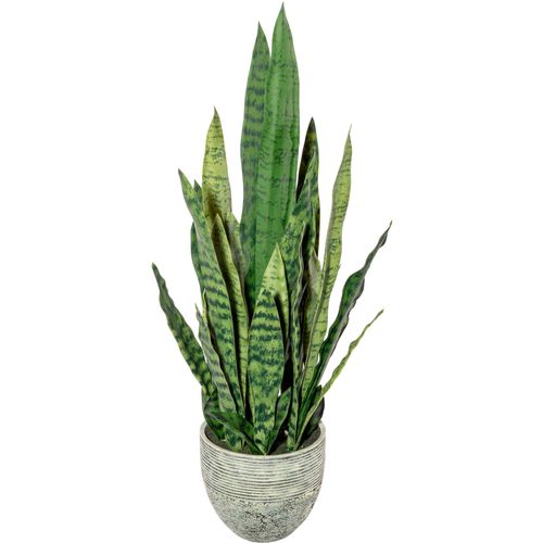 4064118138327 - Künstliche Zimmerpflanze CREATIV GREEN Sanseveria Kunstpflanzen Gr H 70 cm 1 St grün Künstliche Zimmerpflanzen