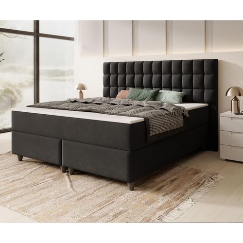 4065307006069 - Inter Handels Boxspringbett WIEN - versch Ausführungen - 180x200cm Samt Schwarz TFK 4065307006069 - Inter Handels Boxspringbett WIEN - versch Ausführungen - 180x200cm Samt Schwarz TFK