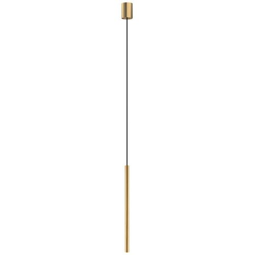 4255596663863 - Licht-erlebnisse - Pendelleuchte Metall ø 25 cm h max 130 cm in Gold matt G9 rund Modern Hängeleuchte