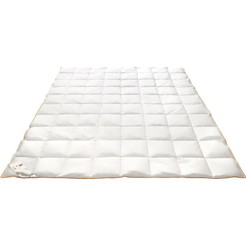 4041134042388 - Daunenbettdecke FRAU HOLLE Ava Bettdecken für Sommer oder Winter hergestellt in Deutschland Gr B L 155 cm x 220 cm leicht weiß Allergiker Bettdecke