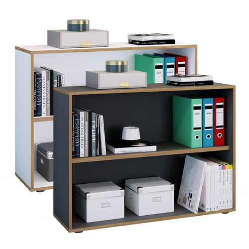 4051814443886 - Aktenregal Holzregal stehend platzsparender Aktenschrank Maße ca H 74 x B 100 x T 33 cm Elegantes Regal Büroregal ¿ Salia 2fach B 100 cm Gr 100 grau (anthrazit) B100cm H74cm T33cm Holzwerkstoff Holz Spanplatte Regale