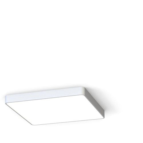 4255596666161 - Licht-erlebnisse - Deckenleuchte Aluminium b 63 cm Weiß eckig 3000 k warmweißes Licht 1700 lm Modern