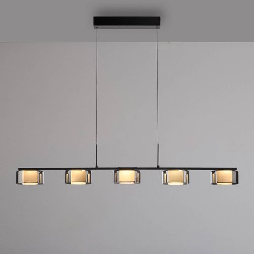 4012248383100 - Paul Neuhaus LED-Hängelampe Rika schwarz Länge 119 cm