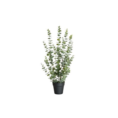 4016550338636 - Botanic-Haus Kunstblume »Eukalyptus«