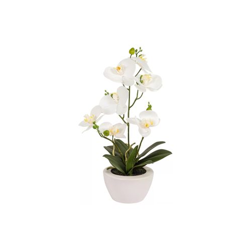 4016550353035 - Kunstblume »Dekomat AG Phaleanopsis im Topf 67 cm« 4016550353035 - Kunstblume »Dekomat AG Phaleanopsis im Topf 67 cm«