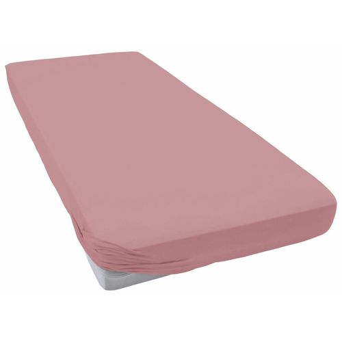 4053912227160 - Spannbettlaken ESTELLA Jersey Topper aus Baumwolle mit Elasthan Laken Gr B L 140-160 cm x 200 cm 1 St Jersey 140-160 x 200 cm 10 cm lila (flieder) für Topper bis 10 cm Höhe 4053912227160 - Spannbettlaken ESTELLA Jersey Topper aus Baumwolle mit Elasthan Laken Gr B L 140-160 cm x 200 cm 1 St Jersey 140-160 x 200 cm 10 cm lila (flieder) für Topper bis 10 cm Höhe