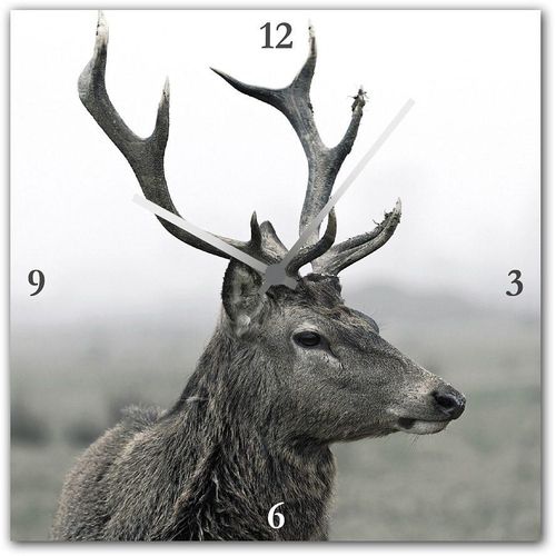 4049009157557 - Wanduhr HOME AFFAIRE Hirsch Wanduhren Gr B H L 30 cm x 30 cm x 4 cm grau Wanduhren eckig aus Glas