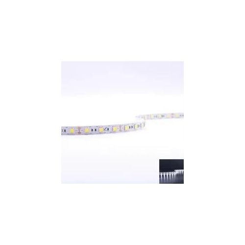 4260385827937 - Strip 12V 5M 144W m 60LED m 10mm - Lichtfarbe Kaltweiß 6000K - Schutzart IP20