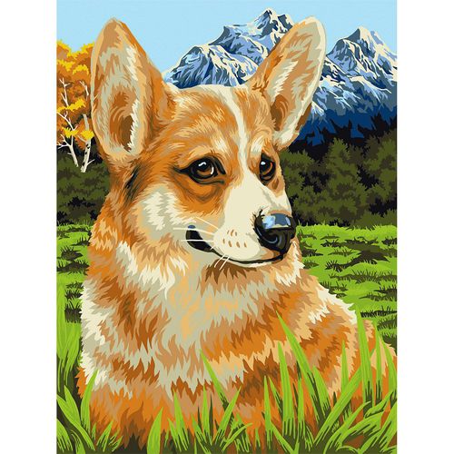 4778004508193 - Malen nach Zahlen Corgi 30 x 40 cm