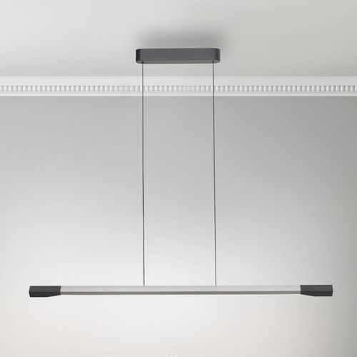 4012248385951 - Paul Neuhaus LED-Hängelampe Hoop aluminium Länge 128 cm