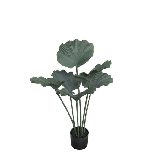 5712750384242 - Chic Antique Fleur Strahlenpalme Kunstpflanze H85 Ø18 cm grün