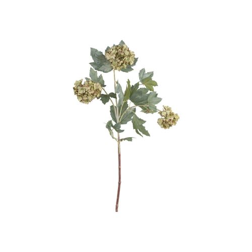 5712750296569 - Chic Antique Fleur Duftschneebälle L78 cm staubig grün 5712750296569 - Chic Antique Fleur Duftschneebälle L78 cm staubig grün