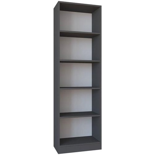 4051814420658 - Standregal Holz Aufbewahrung Stand Regal Bücherregal Deko Bücher Standregal Dilos XL 5-fach Gr 56 grau (anthrazit) B56cm H183cm T30cm Holzwerkstoff Holz Spanplatte Regale