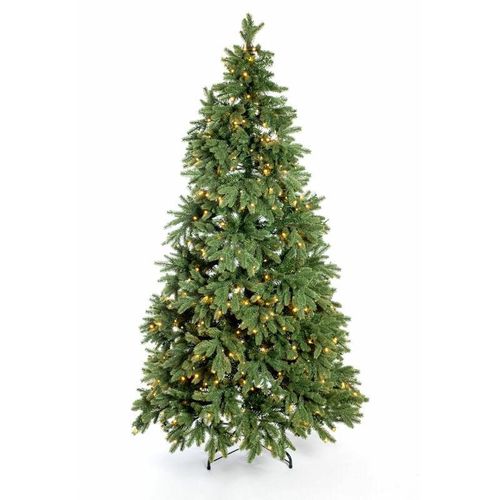 4895215153872 - Künstlicher Weihnachtsbaum Roswell Kiefer grün 210 cm mit Lichterkette - Evergreen