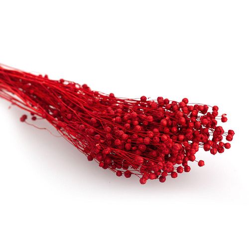 8715881304391 - Trockenblumen Flachs rot