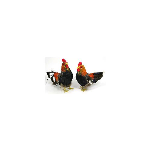 4058896143895 - Federhahn und -huhn 17 cm und 18 cm 2 Stück 4058896143895 - Federhahn und -huhn 17 cm und 18 cm 2 Stück