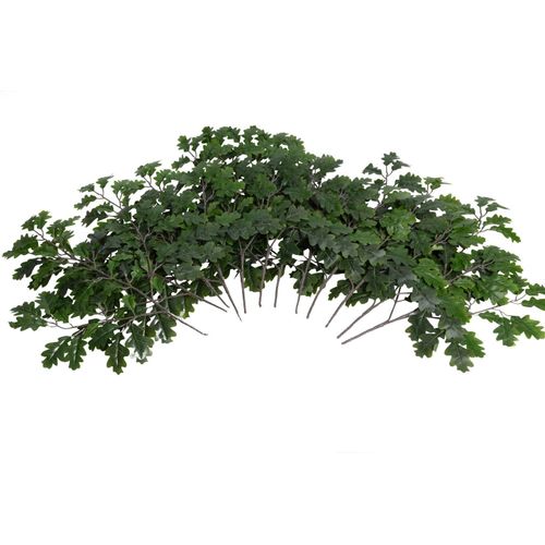 8025003230416 - Kunstzweig BOTANIC-HAUS Eichenzweig grün B53cm H57cm T10cm Ø53cm Kunststoff Kunstpflanzen 8025003230416 - Kunstzweig BOTANIC-HAUS Eichenzweig grün B53cm H57cm T10cm Ø53cm Kunststoff Kunstpflanzen