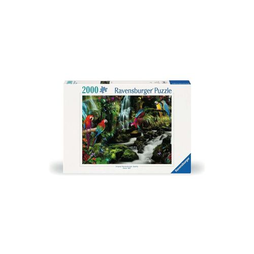 4005556171118 - Ravensburger Puzzle - Bunte Papageien im Dschungel - 2000 Teile 4005556171118 - Ravensburger Puzzle - Bunte Papageien im Dschungel - 2000 Teile