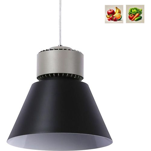 8435427175338 - Barcelona Led - led Leuchte für Obst Gemüse 36W CRI95 KeGu Treiber