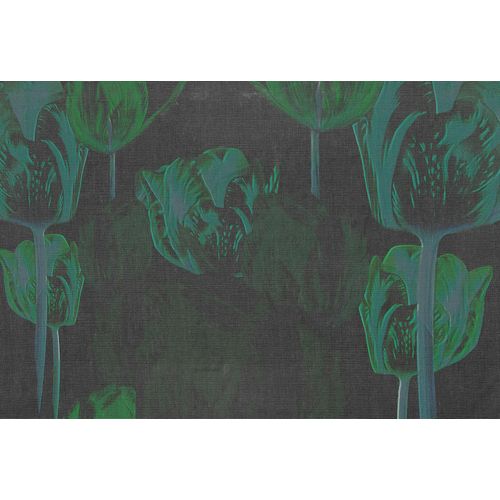 4059432181227 - Fototapete Atelier 47 Tulip Artwork 1 Tapeten Vlies Wand Schräge Decke Gr B L 4 m x 27 m grün (hellgrün dunkelgrün dunkelgrau) Fototapeten Blumen Tapeten 4059432181227 - Fototapete Atelier 47 Tulip Artwork 1 Tapeten Vlies Wand Schräge Decke Gr B L 4 m x 27 m grün (hellgrün dunkelgrün dunkelgrau) Fototapeten Blumen Tapeten