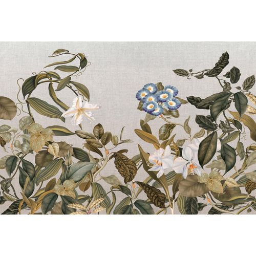 4059432182521 - Fototapete Atelier 47 Botanic Sketch 1 Tapeten Vlies Wand Schräge Decke Gr B L 4 m x 27 m bunt (blau grün weiß grau) Fototapeten Blumen Tapeten 4059432182521 - Fototapete Atelier 47 Botanic Sketch 1 Tapeten Vlies Wand Schräge Decke Gr B L 4 m x 27 m bunt (blau grün weiß grau) Fototapeten Blumen Tapeten