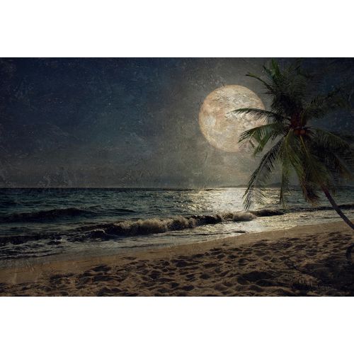 4059432177879 - Fototapete Atelier 47 Beach at Night 3 Tapeten Vlies Wand Schräge Decke Gr B L 4 m x 27 m bunt (dunkelblau hellbraun hellgelb) Fototapeten Strand Tapeten 4059432177879 - Fototapete Atelier 47 Beach at Night 3 Tapeten Vlies Wand Schräge Decke Gr B L 4 m x 27 m bunt (dunkelblau hellbraun hellgelb) Fototapeten Strand Tapeten
