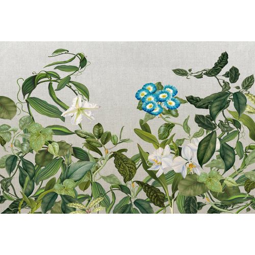 4059432182576 - Fototapete Atelier 47 Botanic Sketch 1 Tapeten Vlies Wand Schräge Decke Gr B L 4 m x 27 m bunt (grün blau weiß) Fototapeten Blumen Tapeten 4059432182576 - Fototapete Atelier 47 Botanic Sketch 1 Tapeten Vlies Wand Schräge Decke Gr B L 4 m x 27 m bunt (grün blau weiß) Fototapeten Blumen Tapeten