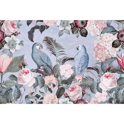 4059432198713 - LIVING WALLS Fototapete ARTist Jungle Rendevous Tapeten Vlies Wand Schräge Gr B L 4 m x 27 m blau (blau orange) Fototapeten Blumen Tapeten 4059432198713 - LIVING WALLS Fototapete ARTist Jungle Rendevous Tapeten Vlies Wand Schräge Gr B L 4 m x 27 m blau (blau orange) Fototapeten Blumen Tapeten