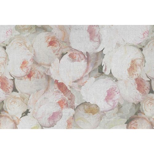 4059432179873 - Fototapete Atelier 47 Flowers 1 Tapeten Vlies Wand Schräge Decke Gr B L 4 m x 27 m bunt (weiß rosa beige) Fototapeten Blumen Tapeten 4059432179873 - Fototapete Atelier 47 Flowers 1 Tapeten Vlies Wand Schräge Decke Gr B L 4 m x 27 m bunt (weiß rosa beige) Fototapeten Blumen Tapeten