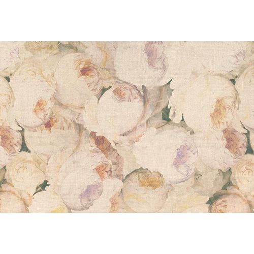 4059432179927 - Fototapete Atelier 47 Flowers 1 Tapeten Vlies Wand Schräge Decke Gr B L 4 m x 27 m rosa (rosa creme beige) Fototapeten Blumen Tapeten