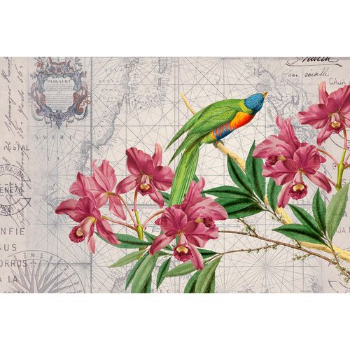 4059432198997 - LIVING WALLS Fototapete ARTist Bird Discovery Tapeten Vlies Wand Schräge Gr B L 4 m x 27 m bunt (beige gelb grün) Fototapeten Blumen Tapeten 4059432198997 - LIVING WALLS Fototapete ARTist Bird Discovery Tapeten Vlies Wand Schräge Gr B L 4 m x 27 m bunt (beige gelb grün) Fototapeten Blumen Tapeten