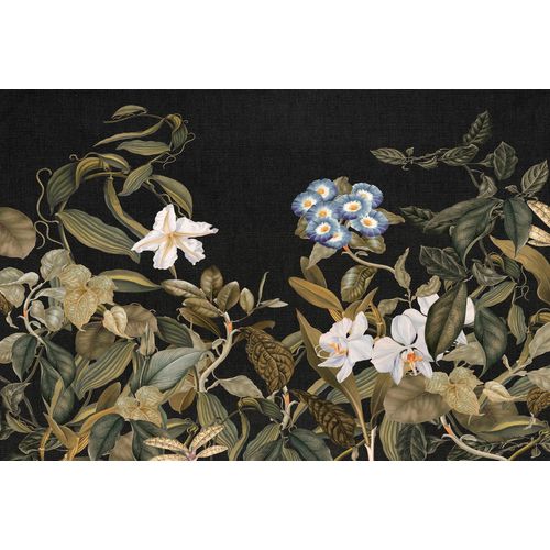 4059432182620 - Fototapete Atelier 47 Botanic Sketch 1 Tapeten Vlies Wand Schräge Decke Gr B L 4 m x 27 m bunt (grün blau weiß schwarz) Fototapeten Blumen Tapeten 4059432182620 - Fototapete Atelier 47 Botanic Sketch 1 Tapeten Vlies Wand Schräge Decke Gr B L 4 m x 27 m bunt (grün blau weiß schwarz) Fototapeten Blumen Tapeten