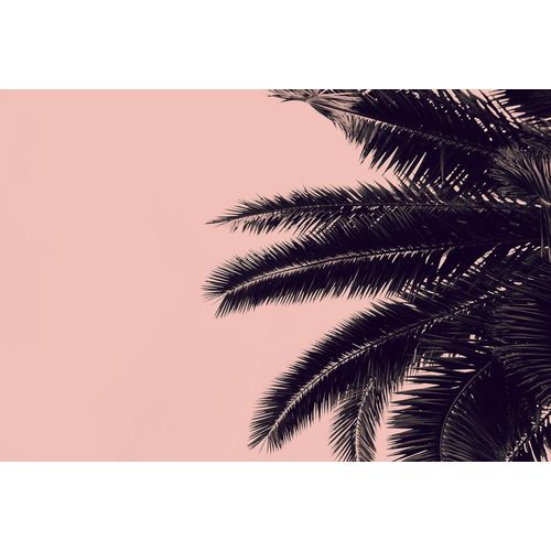 4059432200591 - LIVING WALLS Fototapete ARTist Palm Tree Tapeten Vlies Wand Schräge Gr B L 4 m x 27 m rosa (rosa schwarz) Fototapeten Blumen Tapeten 4059432200591 - LIVING WALLS Fototapete ARTist Palm Tree Tapeten Vlies Wand Schräge Gr B L 4 m x 27 m rosa (rosa schwarz) Fototapeten Blumen Tapeten