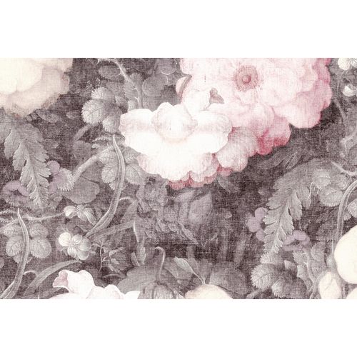 4059432180077 - Fototapete Atelier 47 Art Blossom 2 Tapeten Vlies Wand Schräge Decke Gr B L 4 m x 27 m bunt (dunkelgrau hellgrau rosa) Fototapeten Blumen Tapeten 4059432180077 - Fototapete Atelier 47 Art Blossom 2 Tapeten Vlies Wand Schräge Decke Gr B L 4 m x 27 m bunt (dunkelgrau hellgrau rosa) Fototapeten Blumen Tapeten