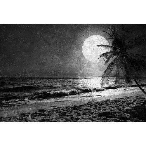 4059432177923 - Fototapete Atelier 47 Beach at Night 3 Tapeten Vlies Wand Schräge Decke Gr B L 4 m x 27 m schwarz-weiß (hellgrau schwarz weiß) Fototapeten Strand Tapeten 4059432177923 - Fototapete Atelier 47 Beach at Night 3 Tapeten Vlies Wand Schräge Decke Gr B L 4 m x 27 m schwarz-weiß (hellgrau schwarz weiß) Fototapeten Strand Tapeten