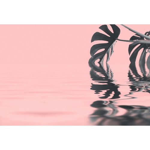 4059432199635 - LIVING WALLS Fototapete ARTist Monstera Leaf Water Tapeten Vlies Wand Schräge Gr B L 4 m x 27 m grau (grau rosa) Fototapeten Blumen Tapeten 4059432199635 - LIVING WALLS Fototapete ARTist Monstera Leaf Water Tapeten Vlies Wand Schräge Gr B L 4 m x 27 m grau (grau rosa) Fototapeten Blumen Tapeten
