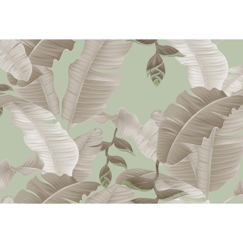 4059432203912 - LIVING WALLS Fototapete ARTist Heliconia Tapeten Vlies Wand Schräge Gr B L 4 m x 27 m grau (grau grün) Fototapeten Blumen Tapeten 4059432203912 - LIVING WALLS Fototapete ARTist Heliconia Tapeten Vlies Wand Schräge Gr B L 4 m x 27 m grau (grau grün) Fototapeten Blumen Tapeten