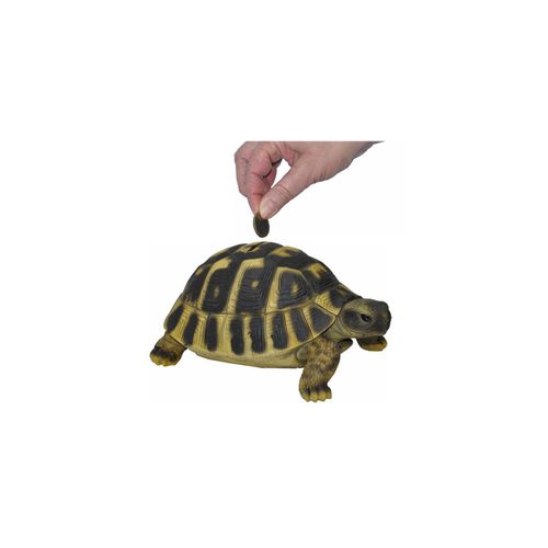 4251639210322 - Dazikemo Spardose Sparschwein große Schildkröte 4251639210322 - Dazikemo Spardose Sparschwein große Schildkröte