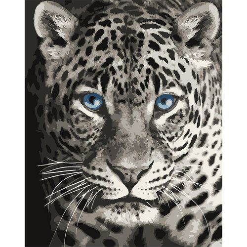 4630102096548 - Malen nach Zahlen auf Leinwand Leopard 40 x 50 cm