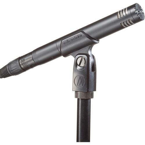 4961310113629 - AT2031 Cardioid Condenser Microphone