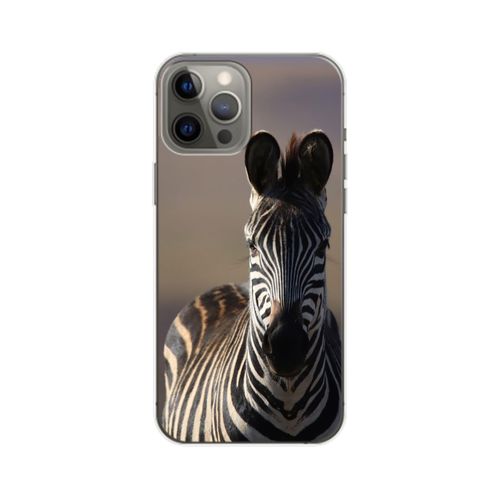 4066914347156 - Hülle Handy Schutz für Apple iPhone 14 Pro Max Case Cover Tasche Bumper Etuis 4066914347156 - Hülle Handy Schutz für Apple iPhone 14 Pro Max Case Cover Tasche Bumper Etuis