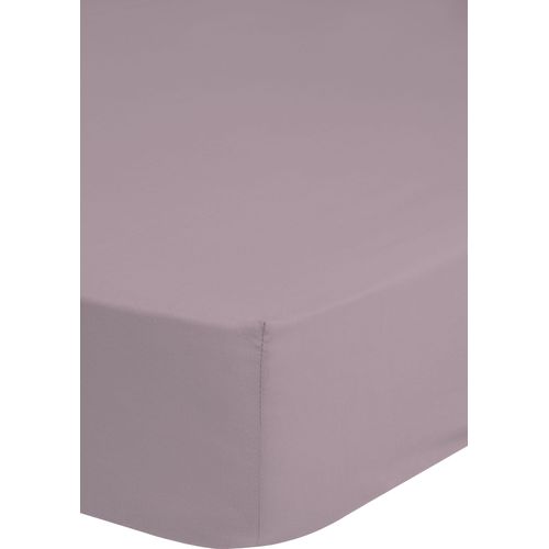 8717285203300 - Spannbettlaken GOOD MORNING Renforcé Good Morning Laken Gr B L 100 cm x 200 cm 1 St Renforcé 100 x 200 cm 25 cm rosa 100% Baumwolle Renforcé Rundumgummi bis 25 cm höhe 80x200 Weiß