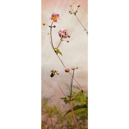 4051315084922 - Fototapete Romance Tapeten Floral Tapete Blumen Fototapete Natur Panel 100m x 280m Gr B L 1 m x 28 m bunt (bunt grün rosa) Fototapeten Blumen Tapeten 4051315084922 - Fototapete Romance Tapeten Floral Tapete Blumen Fototapete Natur Panel 100m x 280m Gr B L 1 m x 28 m bunt (bunt grün rosa) Fototapeten Blumen Tapeten