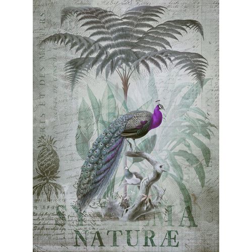 4059432198911 - LIVING WALLS Fototapete ARTist Peacock Jungle Tapeten Vlies Wand Schräge Gr B L 2 m x 27 m bunt (gelb grün violett) Fototapeten Blumen Tapeten 4059432198911 - LIVING WALLS Fototapete ARTist Peacock Jungle Tapeten Vlies Wand Schräge Gr B L 2 m x 27 m bunt (gelb grün violett) Fototapeten Blumen Tapeten