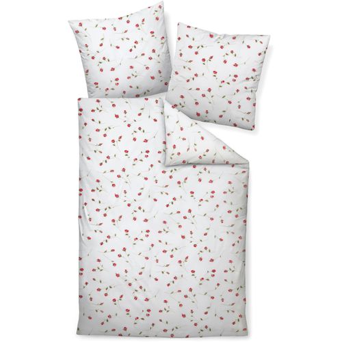 4004565763222 - Bettwäsche JANINE TANGO2174 02 155x20080x80 Gr B L 155 cm x 200 cm (1 St) B L 80 cm x 80 cm (1 St) Mako-Satin rot (paradierot) Bettwäsche 155x200 cm mit Reißverschluss 4004565763222 - Bettwäsche JANINE TANGO2174 02 155x20080x80 Gr B L 155 cm x 200 cm (1 St) B L 80 cm x 80 cm (1 St) Mako-Satin rot (paradierot) Bettwäsche 155x200 cm mit Reißverschluss